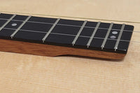 DulciVox Pro Mountain Dulcimer by Folkcraft Instruments